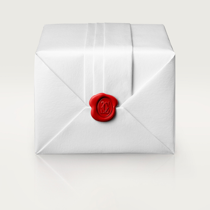 Santos de Cartier watch