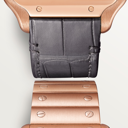 Santos de Cartier watch