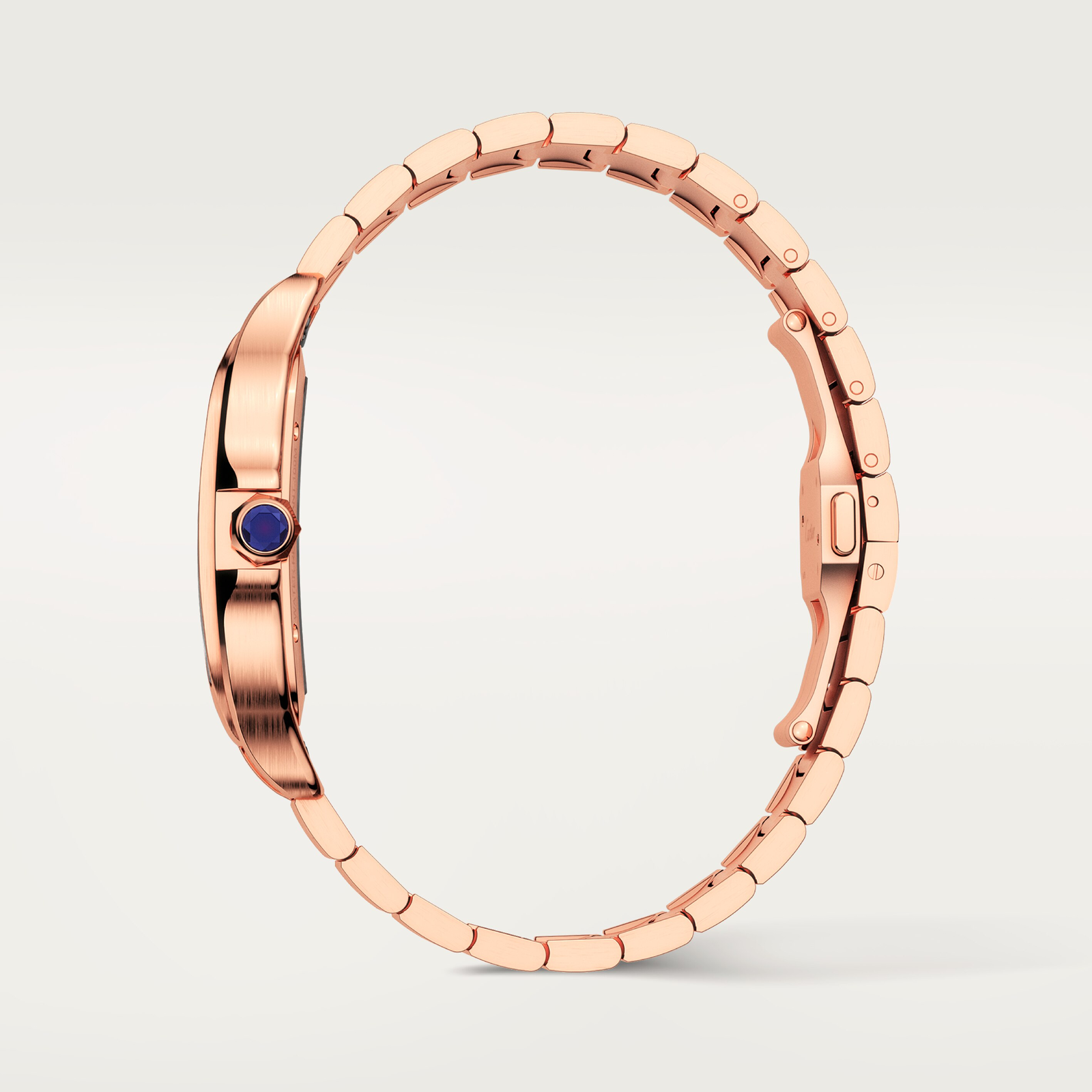 Santos de Cartier watch