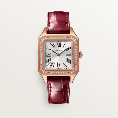Santos-Dumont de Cartier watch
