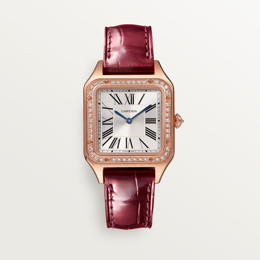 Santos-Dumont de Cartier watch