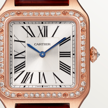 Santos-Dumont de Cartier watch