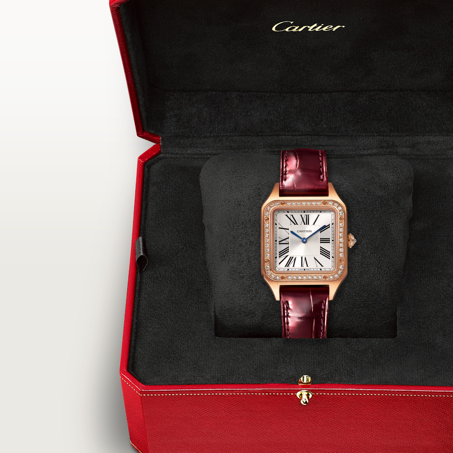 Santos-Dumont de Cartier watch