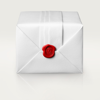 Santos-Dumont de Cartier watch