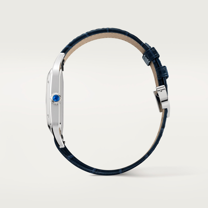 Santos-Dumont de Cartier watch