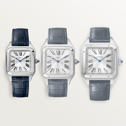 Santos-Dumont de Cartier watch