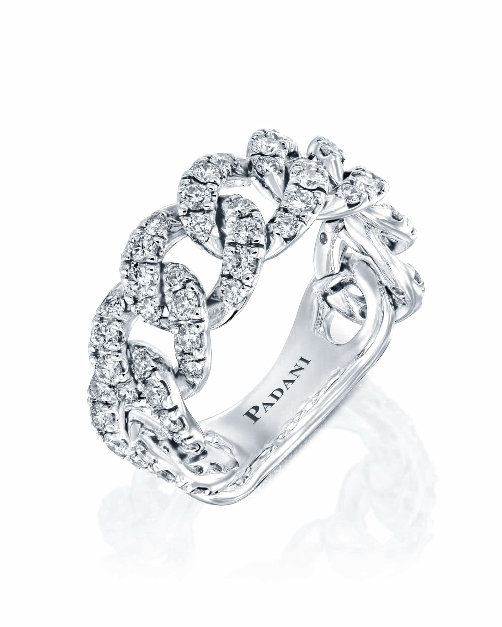 Thin Panzer Link Ring – Padani