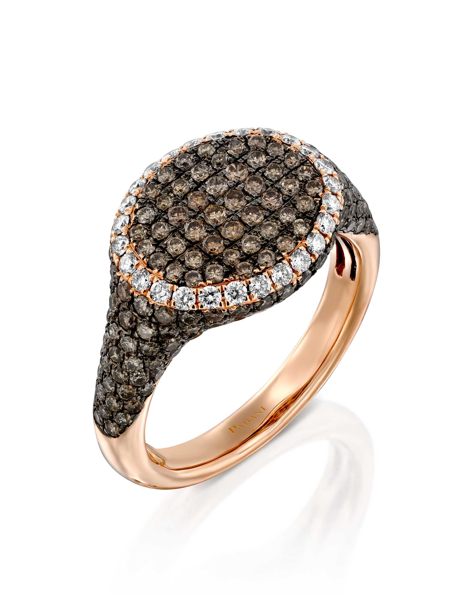 Studded Brown Diamonds Wide Signet Ring – Padani