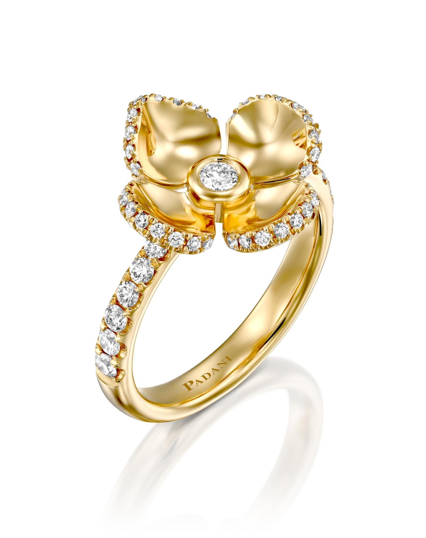 color: Yellow Gold