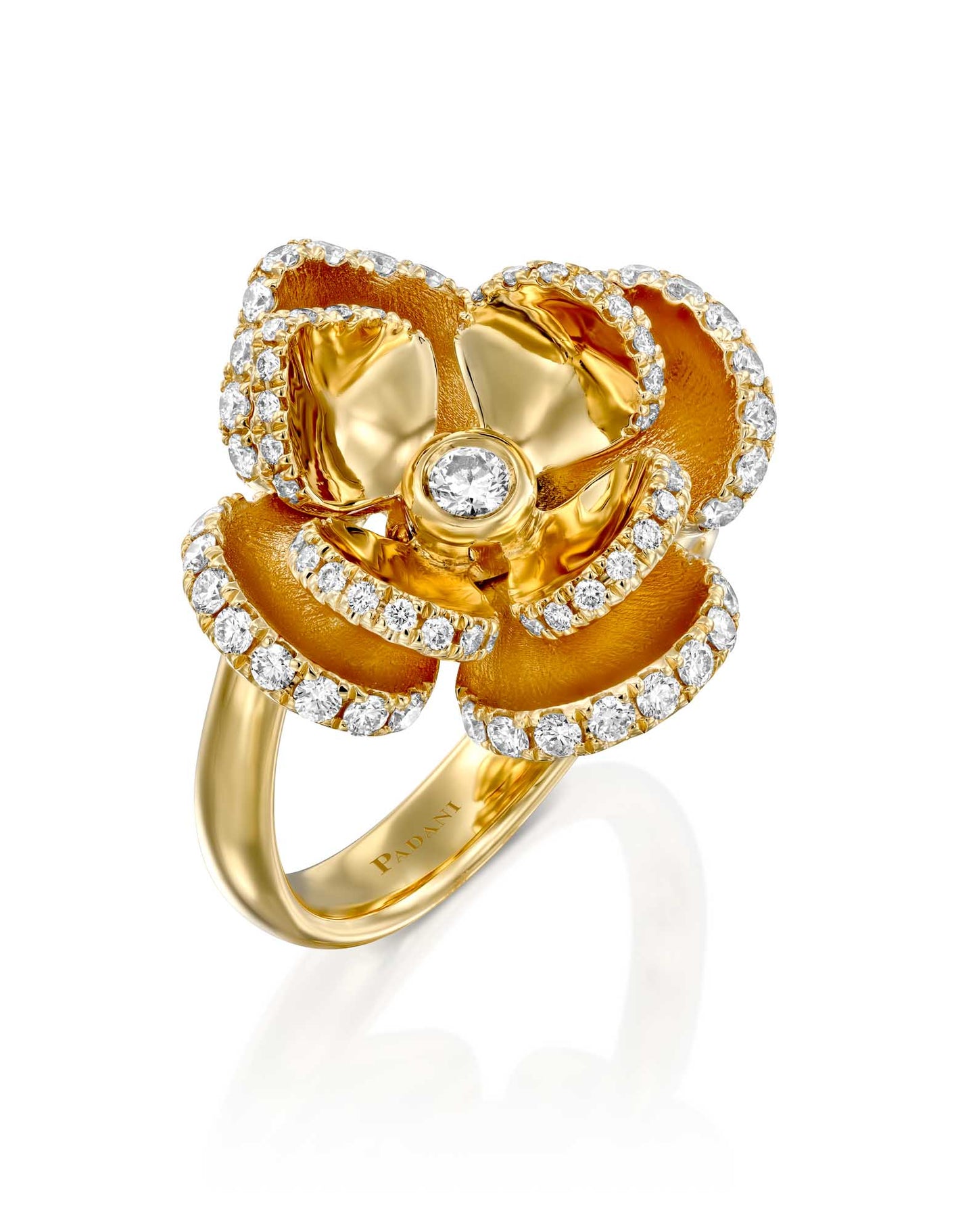 color: Yellow Gold
