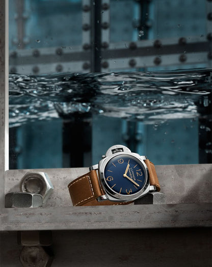  PAM01732 