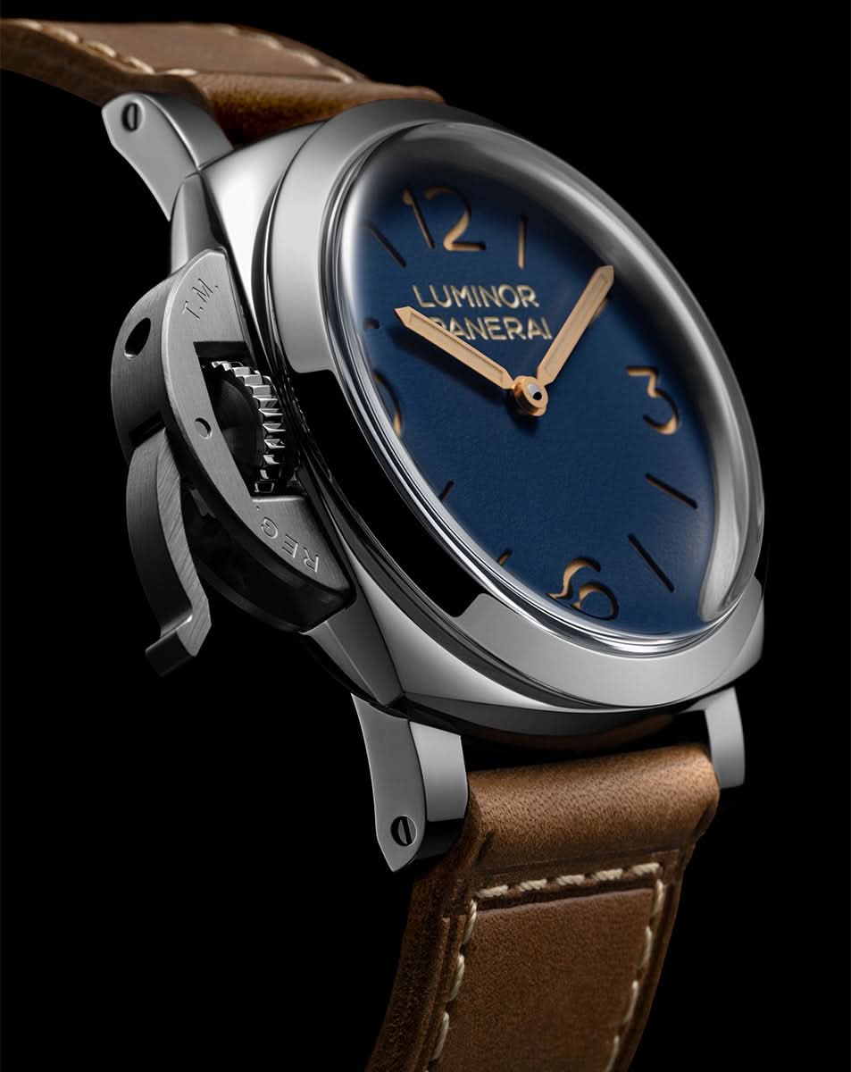  PAM01732 